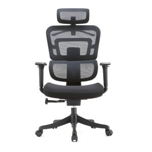 Executive Ergonomic High-Back Mesh Chair