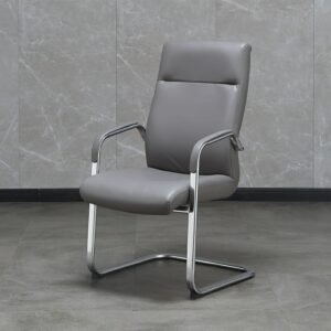 Executive Visitors' Leather Chair