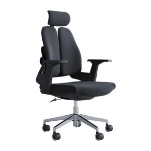 MESUDA MC1 Executive Ergonomic Chair