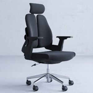 MESUDA MC1 Executive Ergonomic Chair