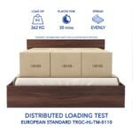 TFG SOLIMO Queen Sized Bed SL1
