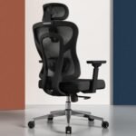 FelixKing FK1 Ergonomic Office Chair – Black
