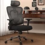 FelixKing FK1 Ergonomic Office Chair – Black