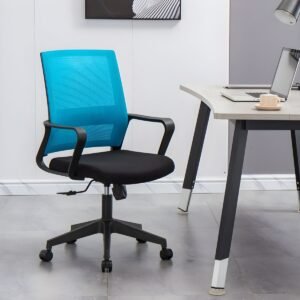 Mid-Back Ergonomic Office Chair - Blue Back
