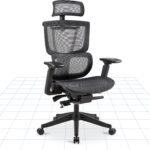 ErgoHuman High-Back Mesh Orthopaedic Ergonomic Chair - Black