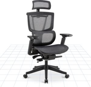 ErgoHuman High-Back Mesh Orthopaedic Ergonomic Chair - Black
