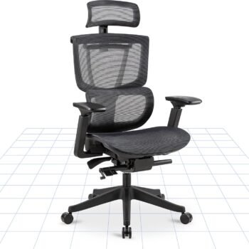 ErgoHuman High-Back Mesh Orthopaedic Ergonomic Chair - Black