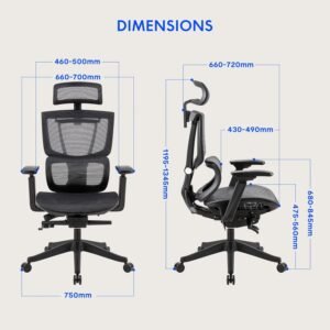 ErgoHuman High-Back Mesh Orthopaedic Ergonomic Chair - Black