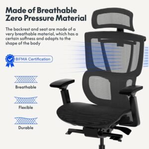 ErgoHuman High-Back Mesh Orthopaedic Ergonomic Chair - Black