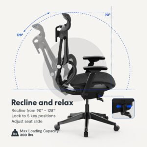 ErgoHuman High-Back Mesh Orthopaedic Ergonomic Chair - Black