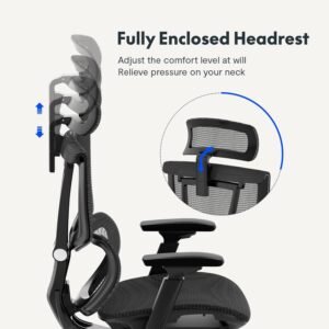 ErgoHuman High-Back Mesh Orthopaedic Ergonomic Chair - Black