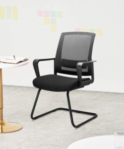 CLATINA Ergonomic Visitors' Guest Chair
