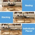 Modern Nesting Coffee Tables in Black Marble