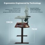 JHT8-ES4 Walnut Executive Desk – Gigiri Collection