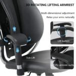 PELOSI P68 Orthopedic Chair (Black) 001