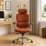 COLE Q77 Ergonomic Office Chair 001