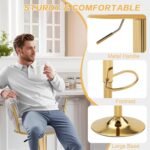 VC12G Bar Stool – VECELO STORE Grey and Gold Luxury Counter Chair